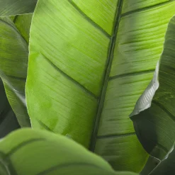 Plantas Y Flores Artificiales><noscript><img width=