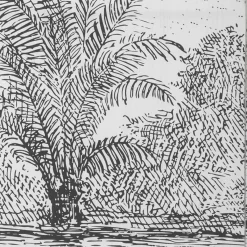 atmosphera Biombos|Estilo Contemporaneo>Biombo Decorativo Negro Y Blanco