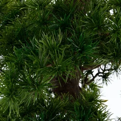 atmosphera Plantas Y Flores Artificiales|Estilo Oriental>Bonsái Artificial En Maceta 149Cm