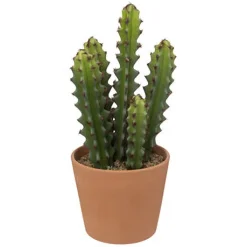 atmosphera Plantas Y Flores Artificiales>Cactus artificial ALI con maceta terracota