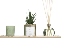 atmosphera Ambientadores|Estilo Rústico>Juego Aromático Jardín Verde 36x14x1.5Cm