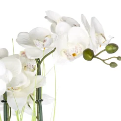 atmosphera Plantas Y Flores Artificiales|Estilo Contemporaneo>Maceta Cerámica C/Orquídea 53Cm