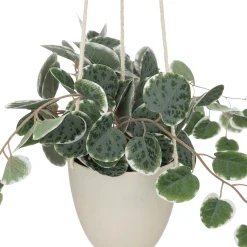 atmosphera Plantas Y Flores Artificiales|Estilo Rústico><noscript><img width=