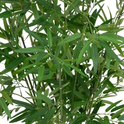 atmosphera Plantas Y Flores Artificiales|Estilo Oriental>Maceta Con Bambú Artificial Verde 100cm