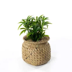 atmosphera Plantas Y Flores Artificiales>Maceta con planta artificial JIL 68cm