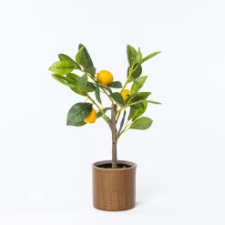 Jarrones Y Vasos>Maceta De Cerámica Zig Zag 11cm