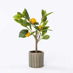 Jarrones Y Vasos>Maceta De Cerámica Zig Zag Verde 11cm