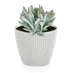 Complementos>Maceta Splofy Eco Wood C/Blanco 16x19Cm