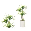 Plantas Y Flores Artificiales>Palmera C/Maceta De Cemento 16x22x38Cm