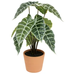 atmosphera Plantas Y Flores Artificiales|Estilo Étnico>Planta ALOCASIA verde 43cm