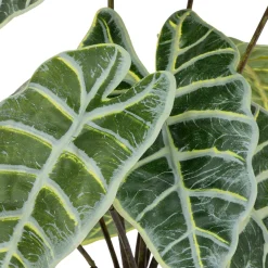 atmosphera Plantas Y Flores Artificiales|Estilo Étnico>Planta ALOCASIA verde 43cm