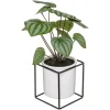 atmosphera Plantas Y Flores Artificiales>Planta Maranta C/Maceta Y Soporte 32Cm