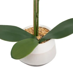 atmosphera Plantas Y Flores Artificiales|Estilo Oriental><noscript><img width=