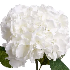 Plantas Y Flores Artificiales>Rama De Hortensia Blanca Artificial 83Cm