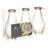 atmosphera Jarrones Y Vasos|Estilo Rústico>Set 3 jarrones de vidrio WONDER 14cm