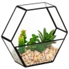 atmosphera Plantas Y Flores Artificiales|Estilo Industrial>Terrario de metal negro c/plantas artificiales PIA